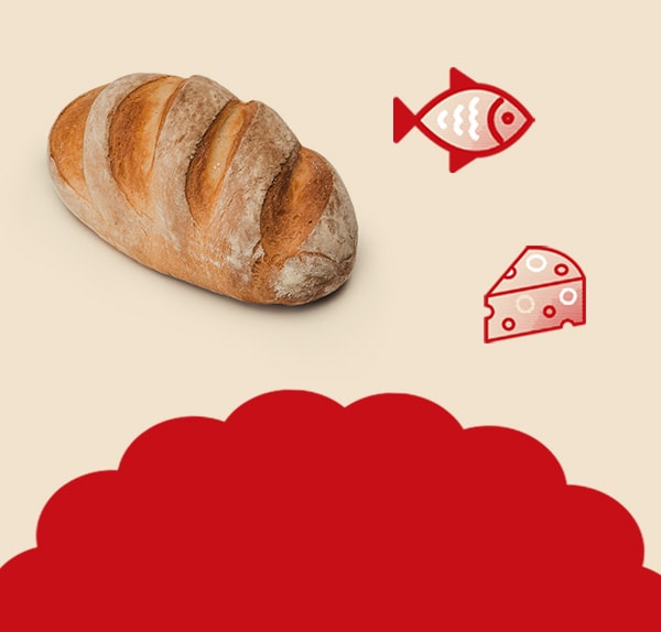 Graphic of a close up of a website depicting an Our Projects page with sample project names and dates.