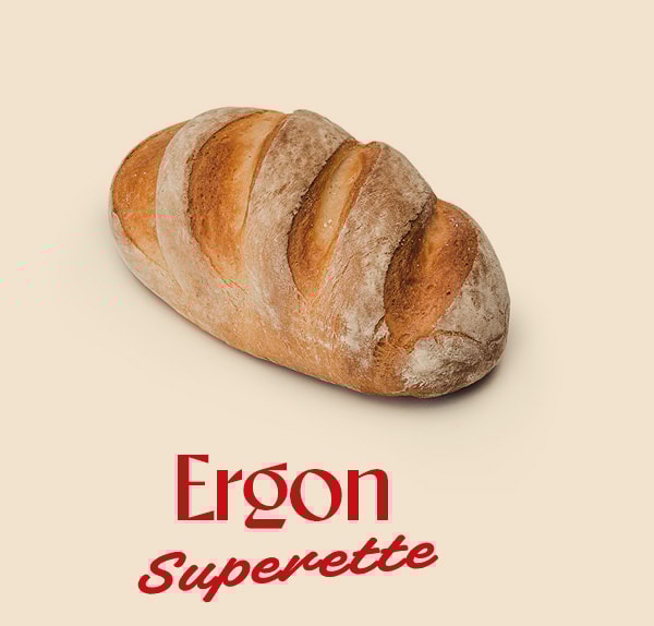 Graphic of a close up of a website depicting an Our Projects page with sample project names and dates.